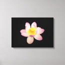 Suche nach abgeschieden leinwandbilder Blume