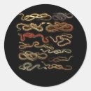 Suche nach reptilien aufkleber Herpetologe