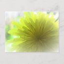 Suche nach gelbe sterne postkarten Für sie