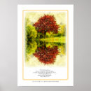 Suche nach der baum des lebens poster Bibel
