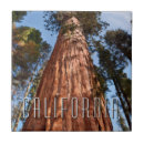 Suche nach sequoia fliesen Kalifornien