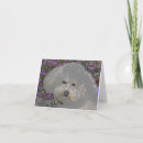 Suche nach bichon karten Gruß