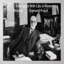 Suche nach sigmund poster Freud