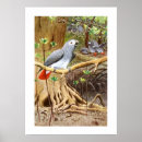 Suche nach afrikanischer vogel poster Grau