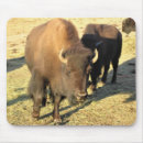 Suche nach bison mousepads Natur