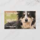 Suche nach schäfer visitenkarten Hund
