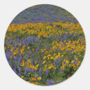 Suche nach scenic aufkleber Charles gurche