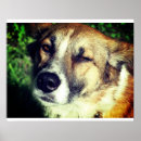 Suche nach faces poster Retro