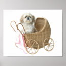 Suche nach kinderwagen poster Hund