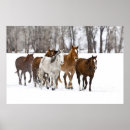 Suche nach western landscape poster Scenic
