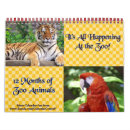 Suche nach koala kalender Tiger