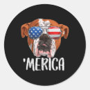 Suche nach american bulldog aufkleber Bulldogge