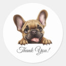 Suche nach french bulldog aufkleber Bulldogge