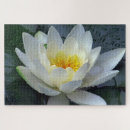 Suche nach wasserlilien puzzle Für alle