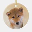 Suche nach shiba inu ornamente Welpe