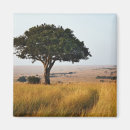 Suche nach einzeln magnete Afrika