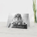 Suche nach lustige hamster karten Haustiere