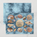 Suche nach seashells postkarten Koralle