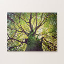 Suche nach baum puzzle Wurzeln