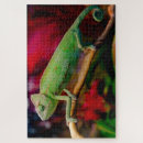 Suche nach chamäleon puzzle Reptil