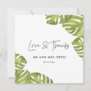 Suche nach palmen karten Blätter aus palmen