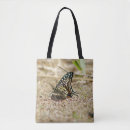 Suche nach asiatischer taschen Tierwelt
