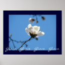 Suche nach rosa magnolie poster Jede person
