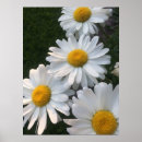 Suche nach blumenplakat poster Schön
