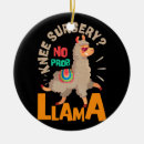 Suche nach knie ornamente Ersatz