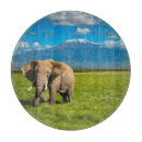 Suche nach elefanten schneidebrettchen Afrikanischer elefant