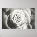 Suche nach schwarzer stift poster Tinte