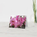Suche nach orchideen blume karten Mutter