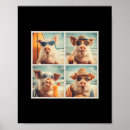 Suche nach sonnenbrillen poster Sand