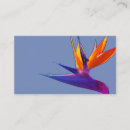 Suche nach paradiesvogel visitenkarten Mit blumen