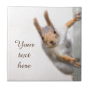 Suche nach säugetiere fliesen Natur