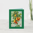 Suche nach rebhuhn postkarten Baum