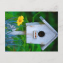 Suche nach vogelhaus postkarten Spaß