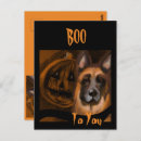 Suche nach deutscher schäferhund postkarten Weihnachten