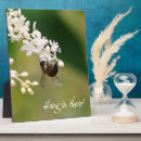 Suche nach natur fotoplatten Biene