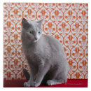 Suche nach pelz fliesen Muster