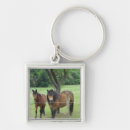 Suche nach weiden schlüsselanhänger Pferde