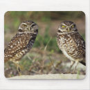 Suche nach island mousepads Vogelvogel