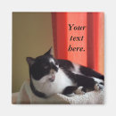 Suche nach cats magnete Jede person