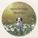 Suche nach dalmatiner untersetzer Niedlich