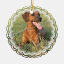 Suche nach rhodesian ridgeback hund ornamente Hunde