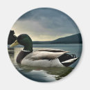 Suche nach laken magnete See