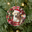 Suche nach labrador ornamente Welpe