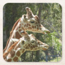 Suche nach giraffen untersetzer Afrika