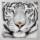 Suche nach bunter tiger poster Katze