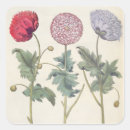 Suche nach 17 aufkleber Botanisch